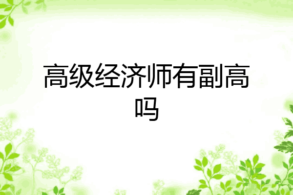 高级经济师有副高吗