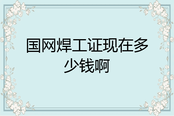 国网焊工证现在多少钱啊