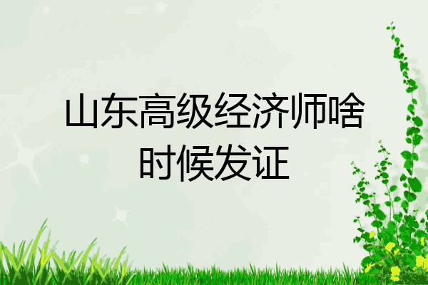 山东高级经济师啥时候发证