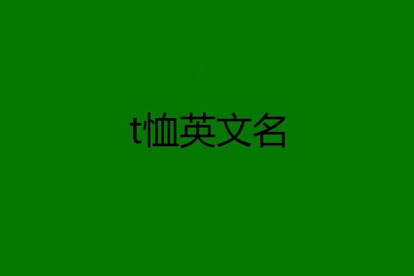 t恤英文名