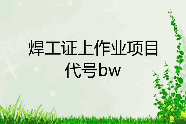 焊工证上作业项目代号bw