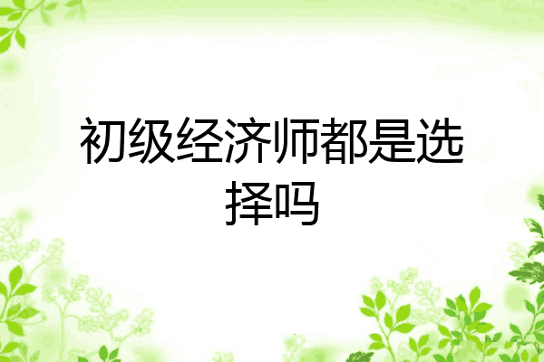 初级经济师都是选择吗