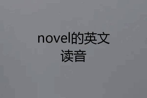 novel的英文读音