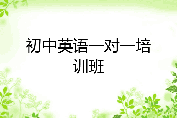 初中英语一对一培训班