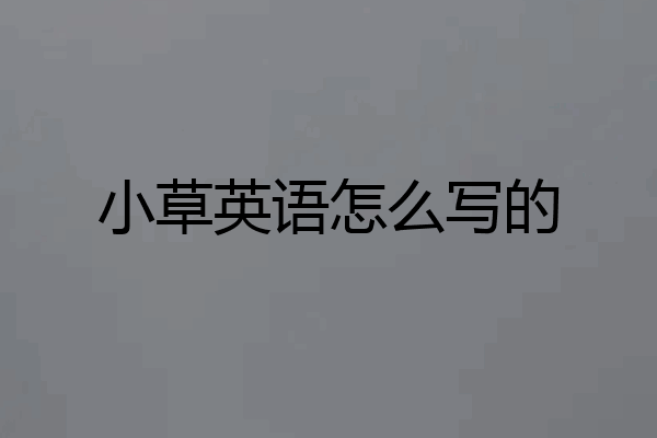 小草英语怎么写的