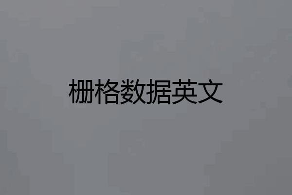 栅格数据英文