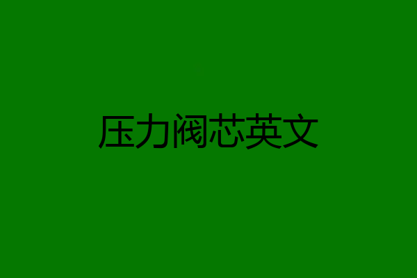 压力阀芯英文