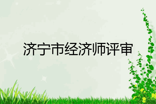 济宁市经济师评审
