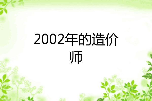 2002年的造价师