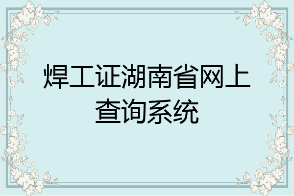 焊工证湖南省网上查询系统