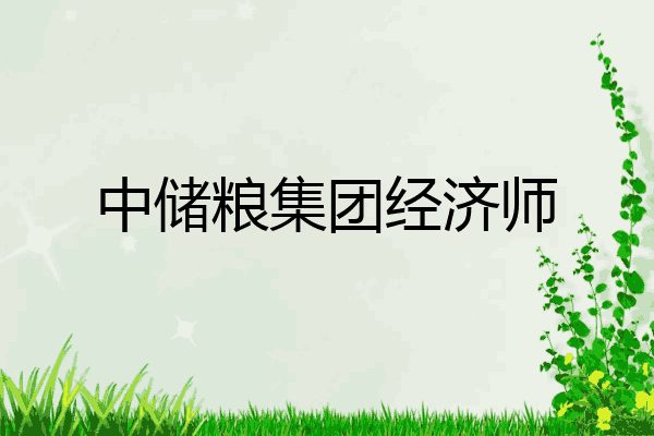 中储粮集团经济师