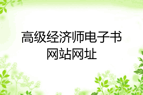 高级经济师电子书网站网址