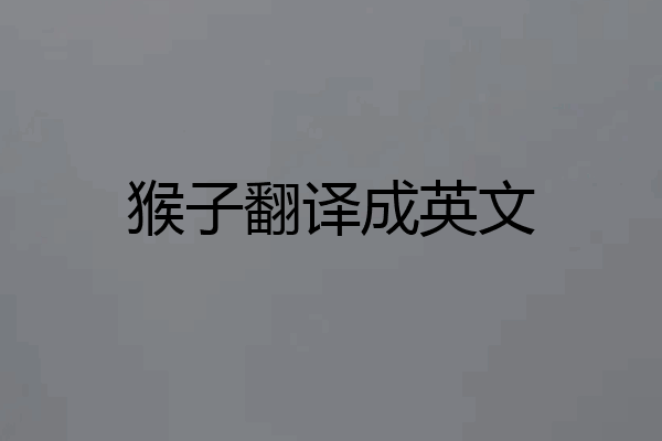 猴子翻译成英文