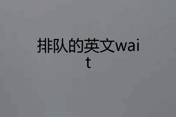排队的英文wait