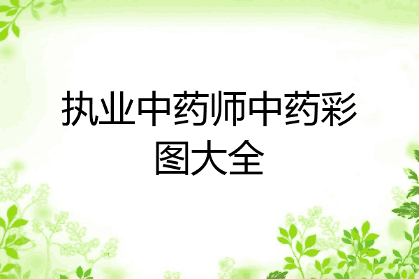 执业中药师中药彩图大全