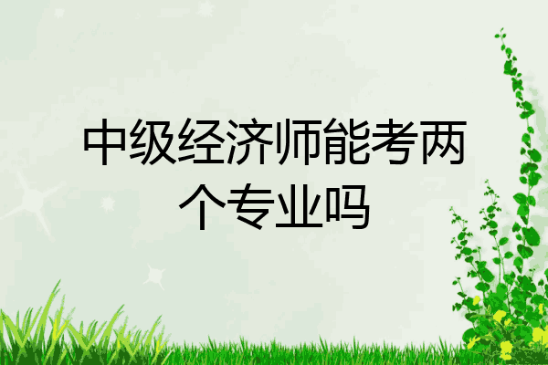中级经济师能考两个专业吗