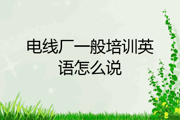 电线厂一般培训英语怎么说