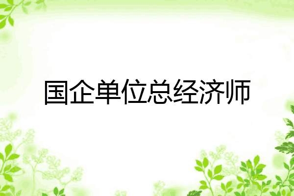 国企单位总经济师