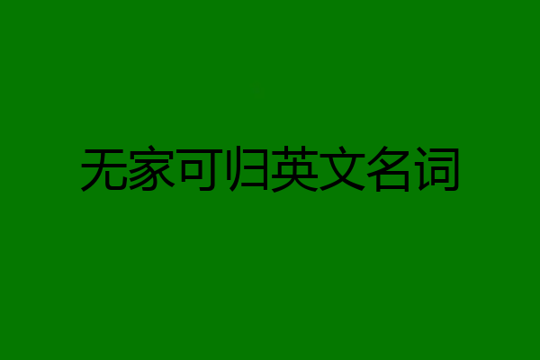 无家可归英文名词