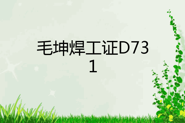 毛坤焊工证D731