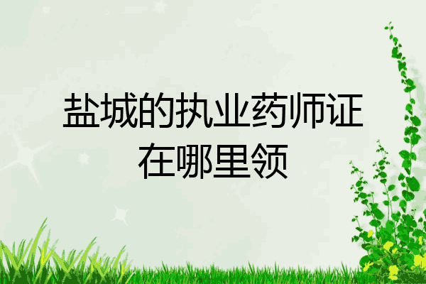 盐城的执业药师证在哪里领