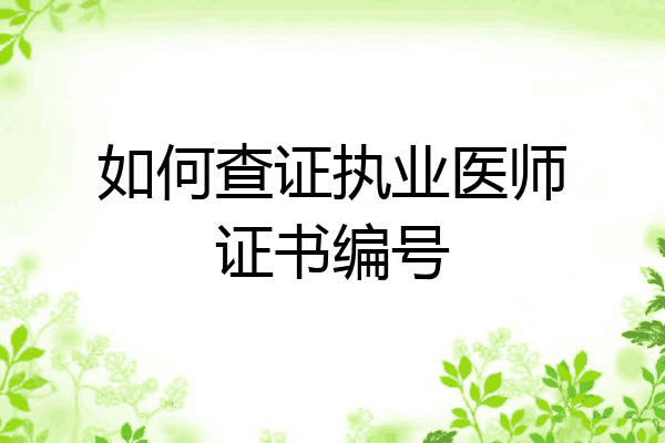 如何查证执业医师证书编号