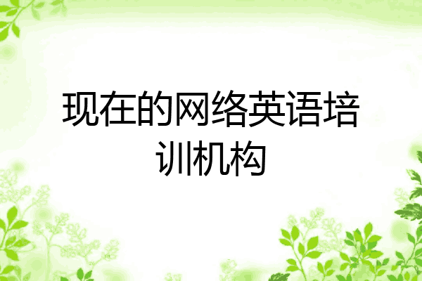 现在的网络英语培训机构
