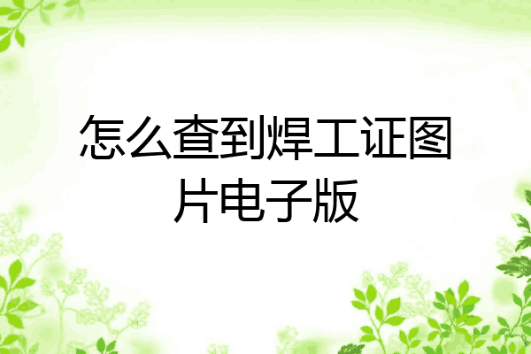 怎么查到焊工证图片电子版