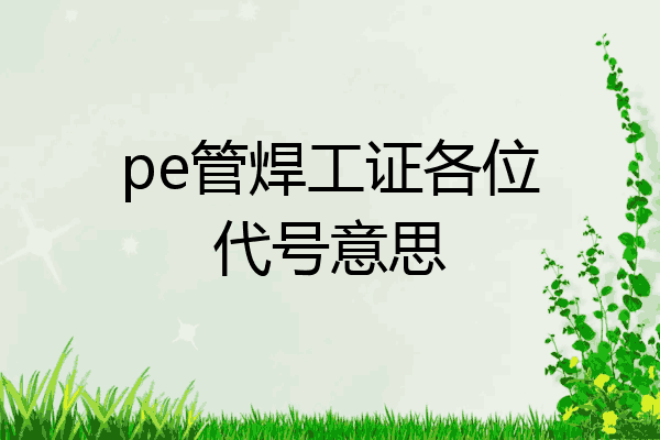 pe管焊工证各位代号意思