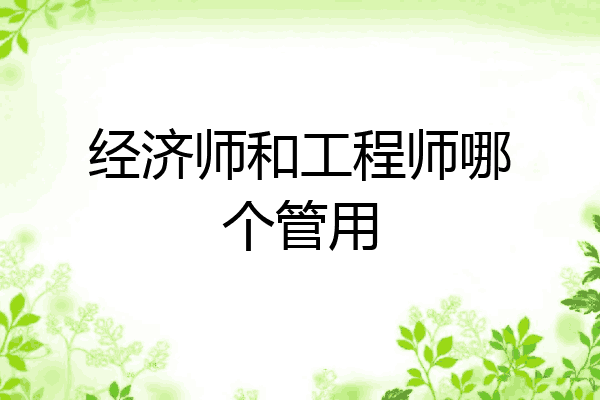 经济师和工程师哪个管用