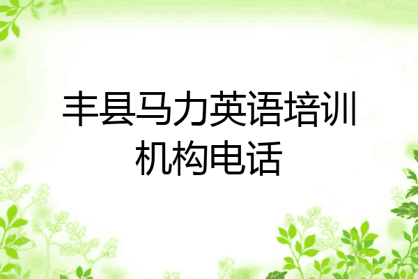 丰县马力英语培训机构电话