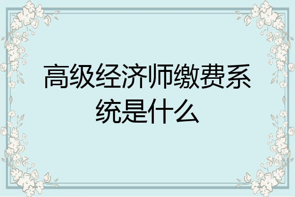 高级经济师缴费系统是什么
