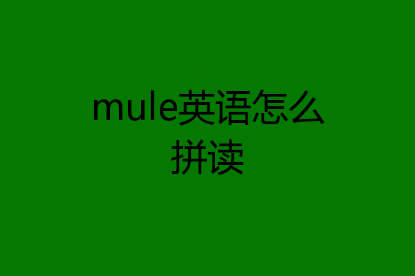 mule英语怎么拼读