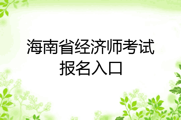 海南省经济师考试报名入口