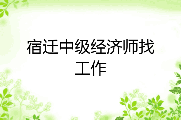 宿迁中级经济师找工作