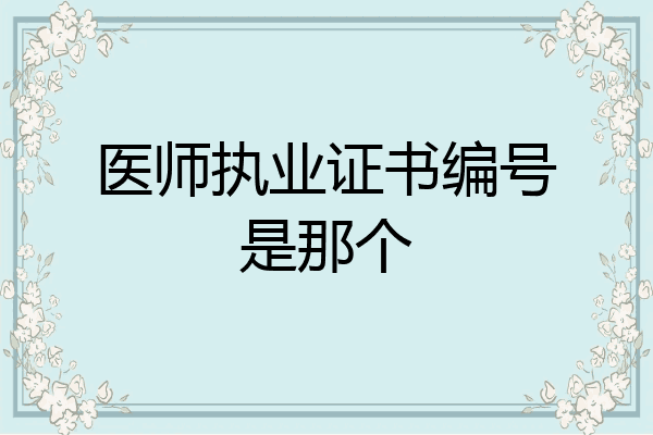 医师执业证书编号是那个