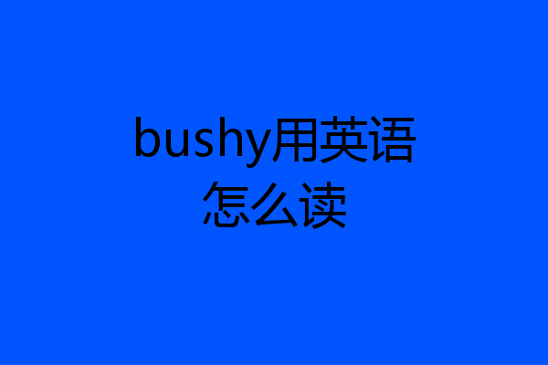 bushy用英语怎么读