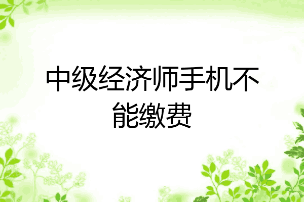 中级经济师手机不能缴费