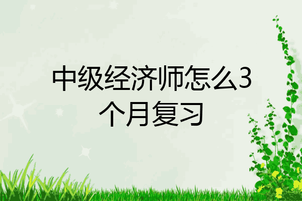 中级经济师怎么3个月复习