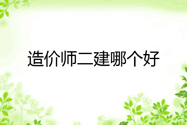 造价师二建哪个好