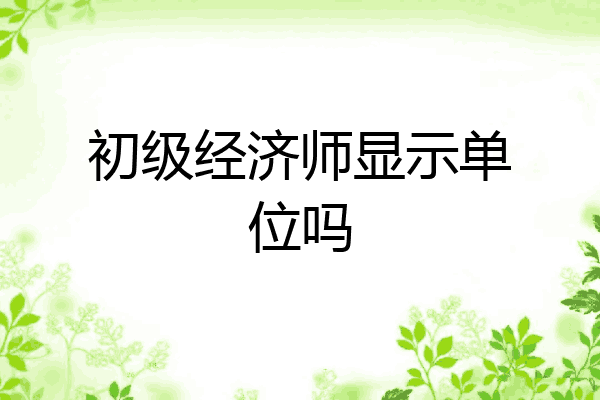 初级经济师显示单位吗
