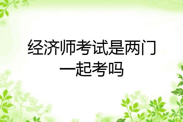 经济师考试是两门一起考吗
