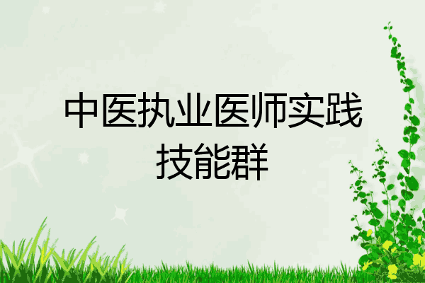 中医执业医师实践技能群