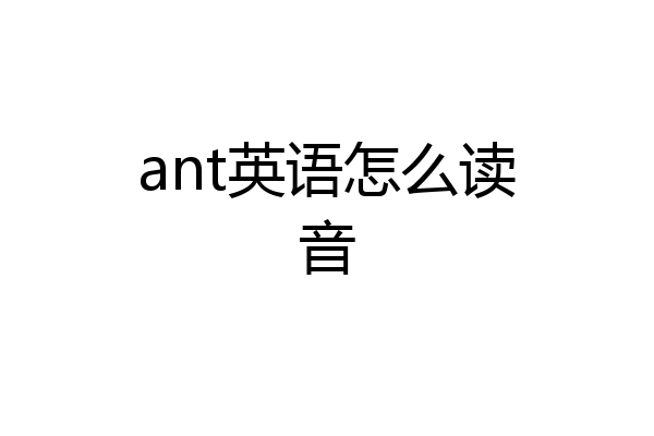 ant英语怎么读音