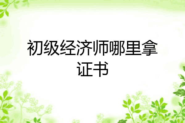 初级经济师哪里拿证书