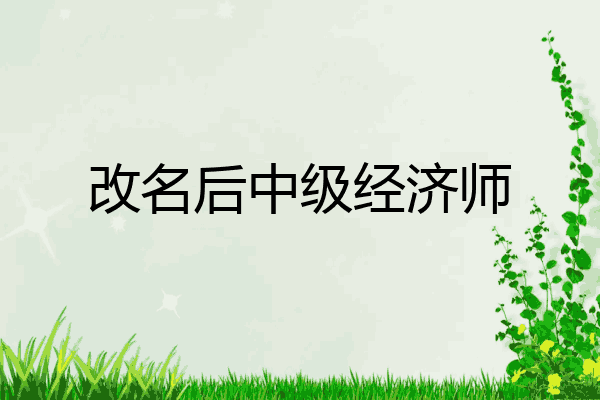 改名后中级经济师