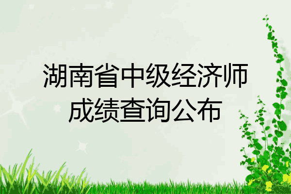 湖南省中级经济师成绩查询公布