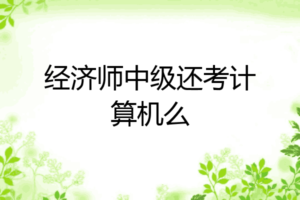 经济师中级还考计算机么