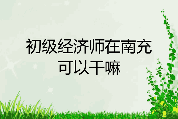 初级经济师在南充可以干嘛