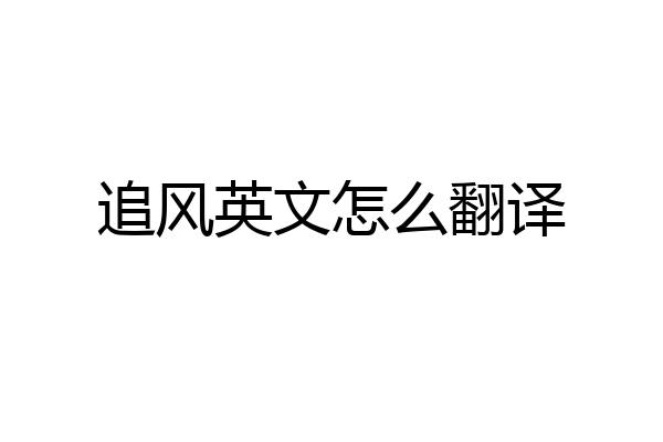 追风英文怎么翻译